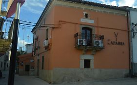 Via Caparra Confort Oliva De Plasencia